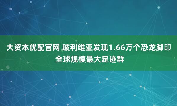 大资本优配官网 玻利维亚发现1.66万个恐龙脚印 全球规模最大足迹群