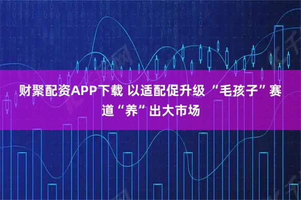 财聚配资APP下载 以适配促升级 “毛孩子”赛道“养”出大市场